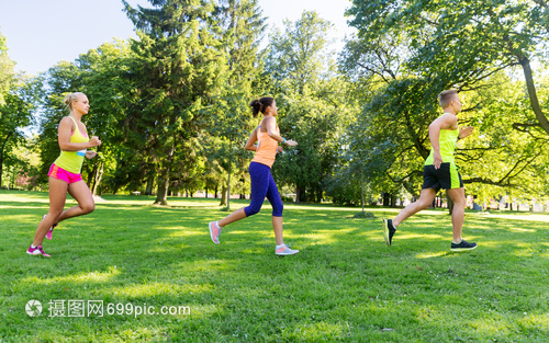 夏季公園馬拉松 運動、健康與快樂的交匯點